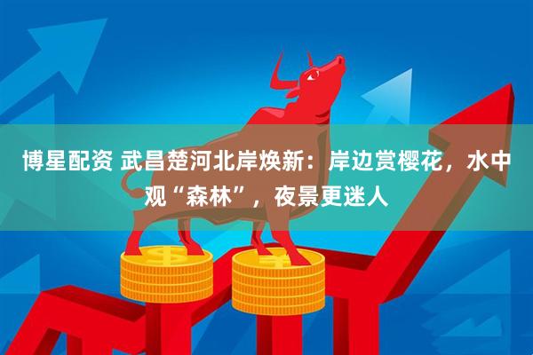 博星配资 武昌楚河北岸焕新:岸边赏樱花,水中观“森林”,夜景更迷人