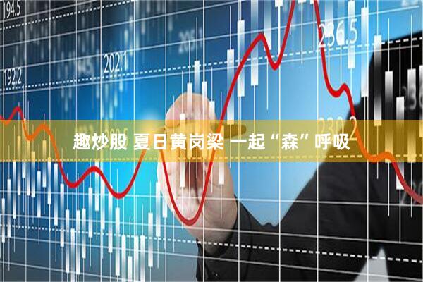 趣炒股 夏日黄岗梁 一起“森”呼吸