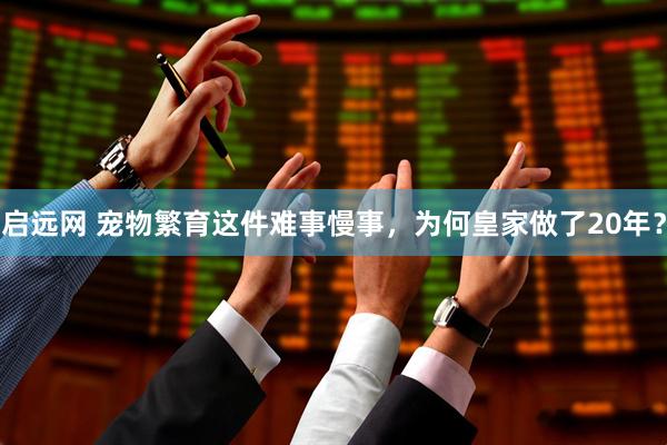 启远网 宠物繁育这件难事慢事，为何皇家做了20年？